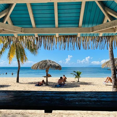 Brin D'Ile Anse Des Rochers Vue Mer A 50 M De La Plage Et Piscine Сен-Франсуа Экстерьер фото