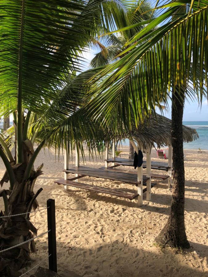 Brin D'Ile Anse Des Rochers Vue Mer A 50 M De La Plage Et Piscine Сен-Франсуа Экстерьер фото