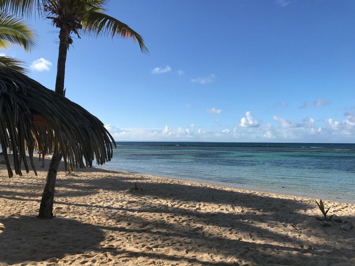 Brin D'Ile Anse Des Rochers Vue Mer A 50 M De La Plage Et Piscine Сен-Франсуа Экстерьер фото