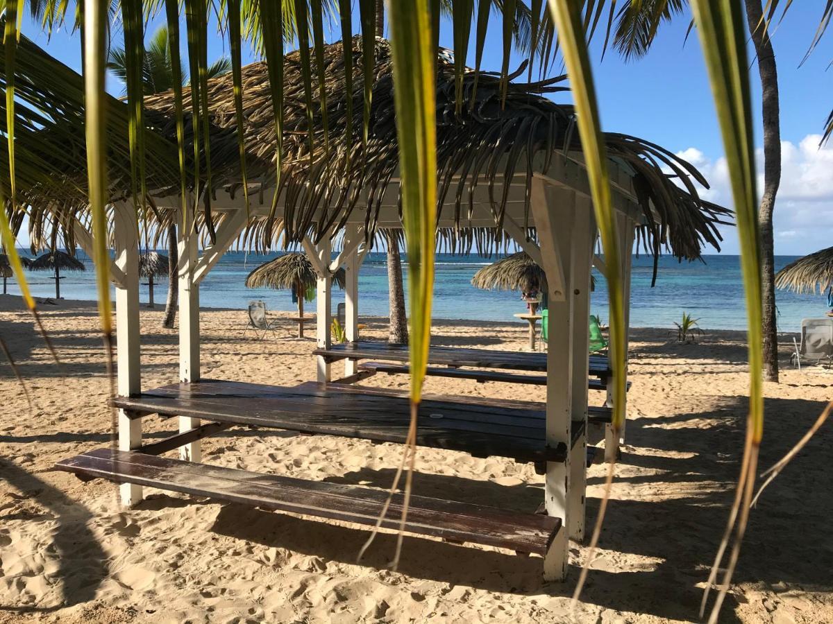 Brin D'Ile Anse Des Rochers Vue Mer A 50 M De La Plage Et Piscine Сен-Франсуа Экстерьер фото