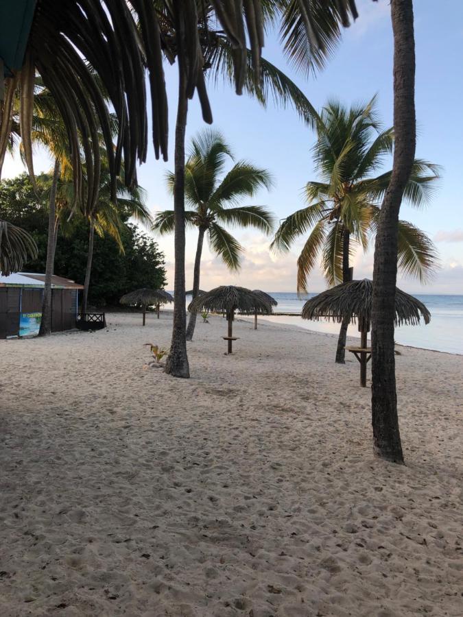 Brin D'Ile Anse Des Rochers Vue Mer A 50 M De La Plage Et Piscine Сен-Франсуа Экстерьер фото