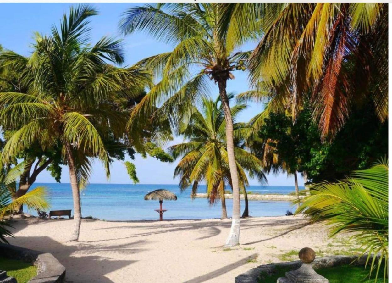Brin D'Ile Anse Des Rochers Vue Mer A 50 M De La Plage Et Piscine Сен-Франсуа Экстерьер фото