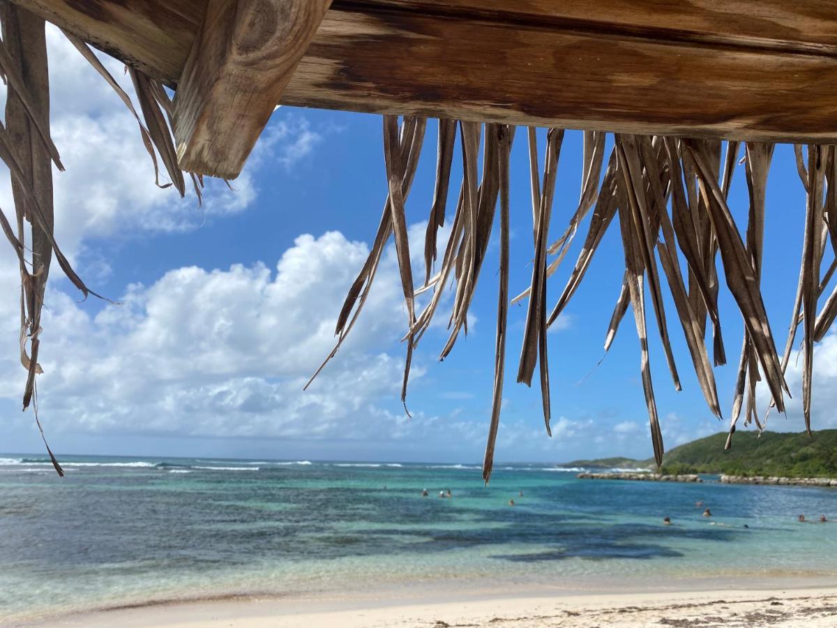 Brin D'Ile Anse Des Rochers Vue Mer A 50 M De La Plage Et Piscine Сен-Франсуа Экстерьер фото