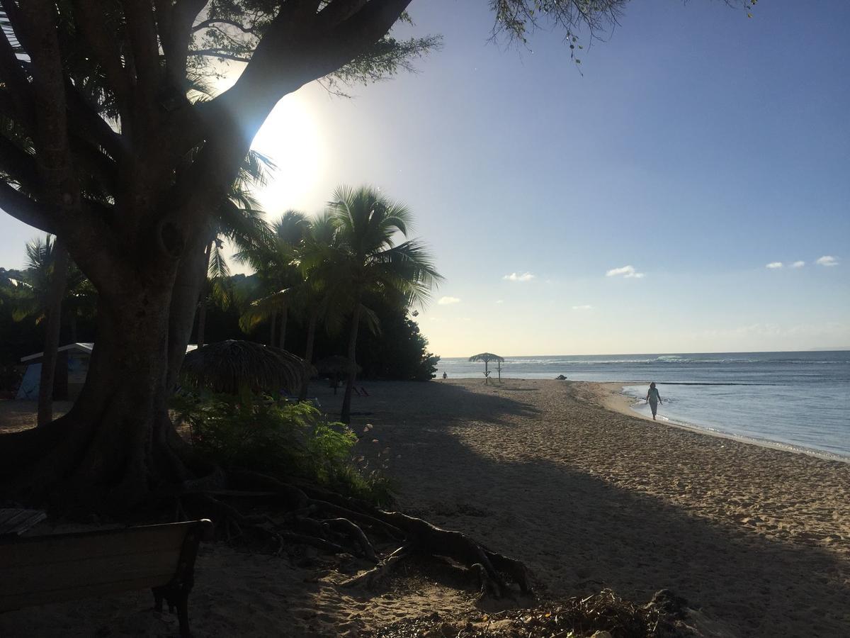 Brin D'Ile Anse Des Rochers Vue Mer A 50 M De La Plage Et Piscine Сен-Франсуа Экстерьер фото