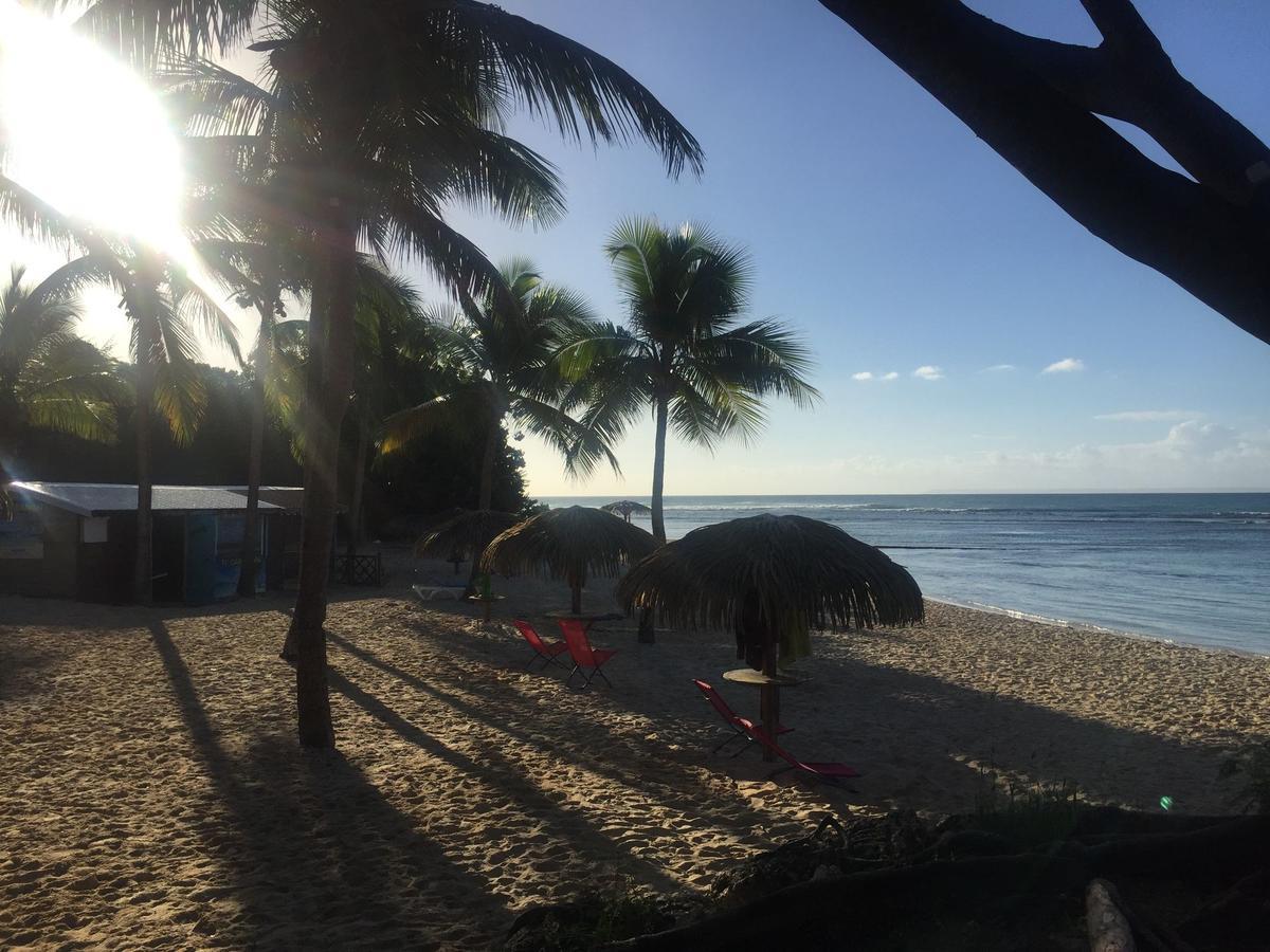 Brin D'Ile Anse Des Rochers Vue Mer A 50 M De La Plage Et Piscine Сен-Франсуа Экстерьер фото