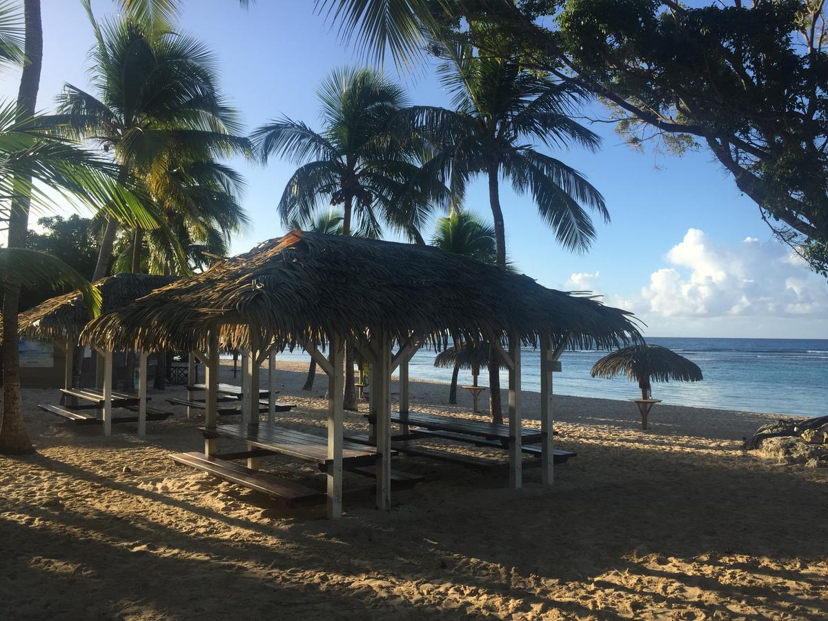 Brin D'Ile Anse Des Rochers Vue Mer A 50 M De La Plage Et Piscine Сен-Франсуа Экстерьер фото