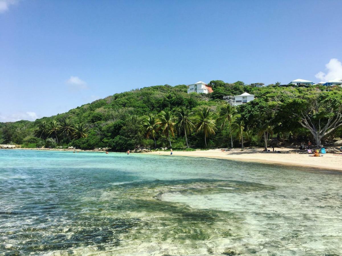 Brin D'Ile Anse Des Rochers Vue Mer A 50 M De La Plage Et Piscine Сен-Франсуа Экстерьер фото